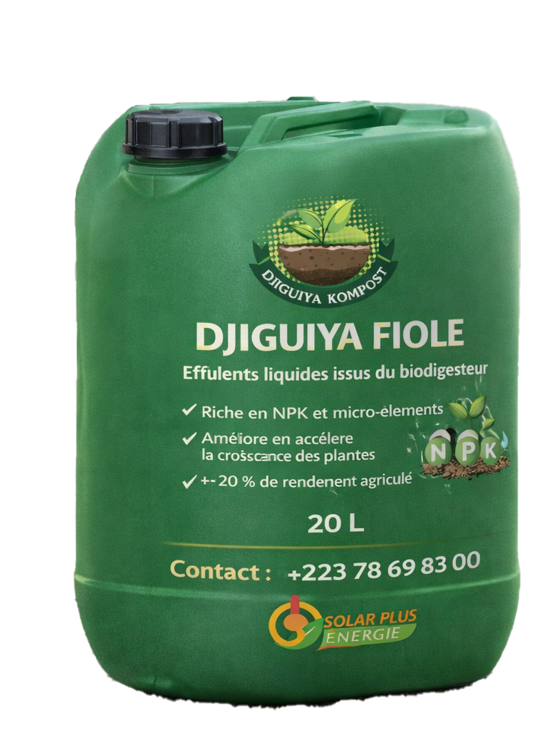 Djiguiya Fiole